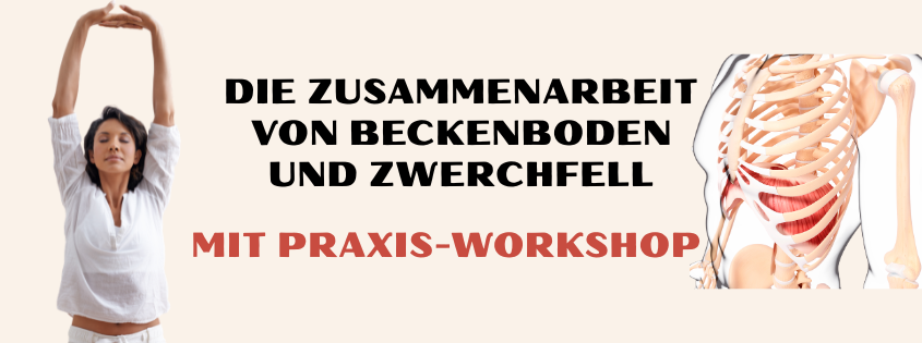 Zwerchfell & Beckenboden
